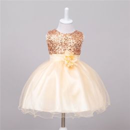 Flower Girl Wedding Princess Dress - Baby Sequin Dress