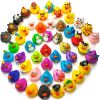 Assorted Rubber Ducks Toy - Duckies for Kids and Toddlers